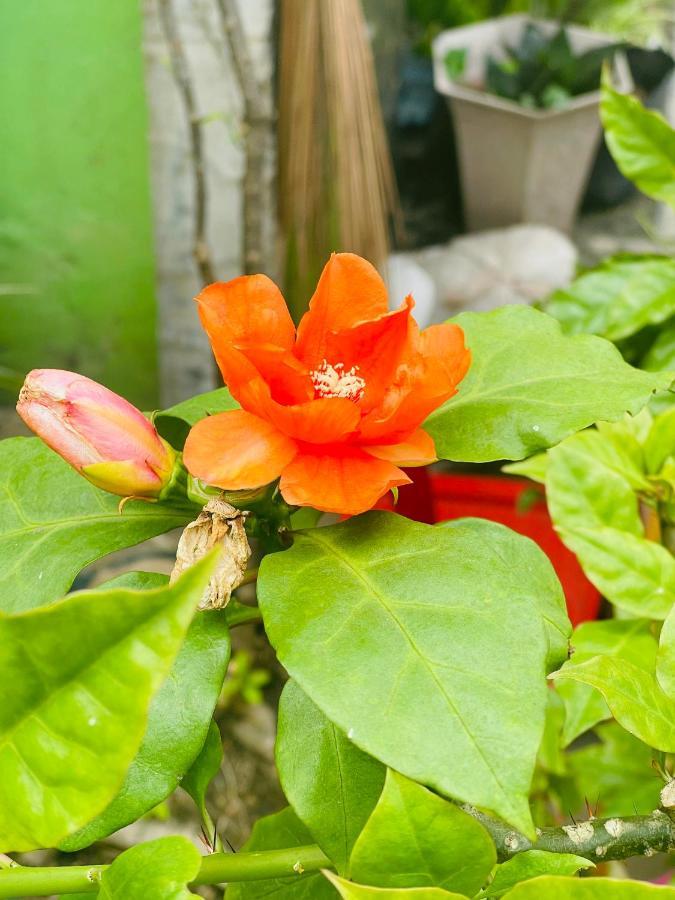 Motel Tuan Phuong Danang Exteriér fotografie